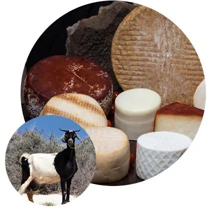 Casa Lily Apartmán Antigua (Fuerteventura)